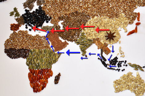 Silk Road trade routes